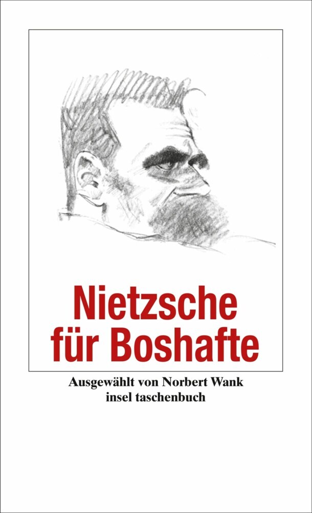 Nietzsche für Boshafte main product photo