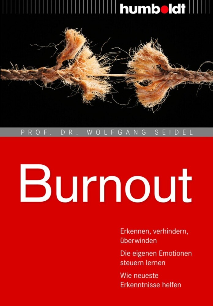 Burnout main product photo
