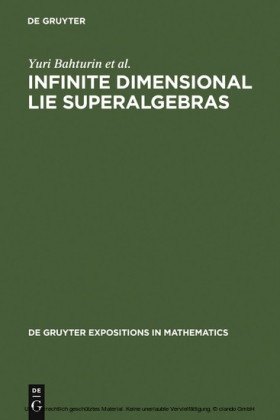 Infinite Dimensional Lie Superalgebras
