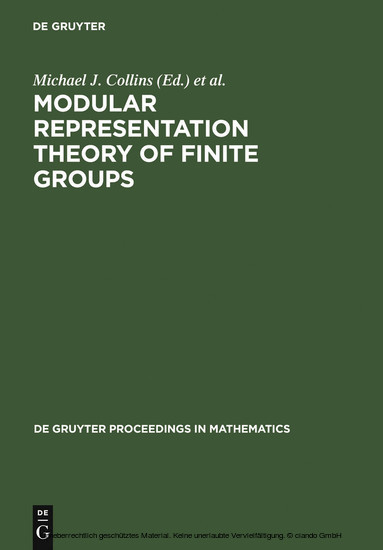 Modular Representation Theory of Finite Groups main product photo