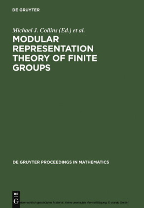 Modular Representation Theory of Finite Groups