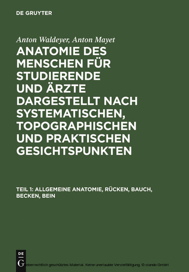 Allgemeine Anatomie, Rücken, Bauch, Becken, Bein main product photo