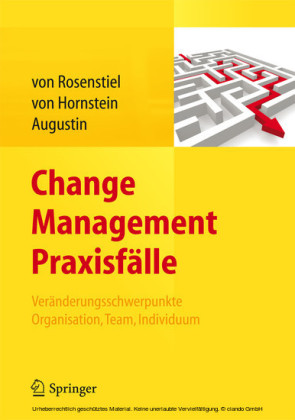 Change Management Praxisfälle