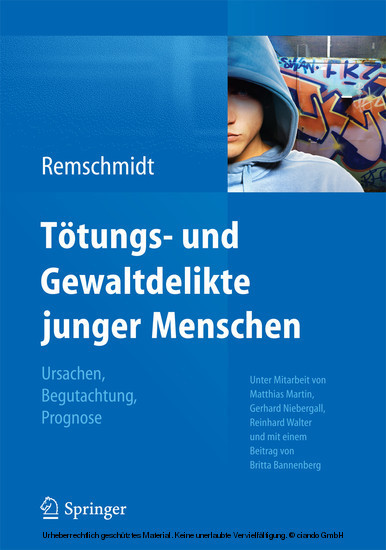 Tötungs- und Gewaltdelikte junger Menschen main product photo