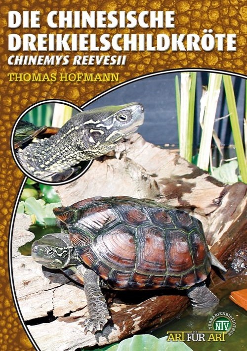 Die Chinesische Dreikielschildkröte main product photo