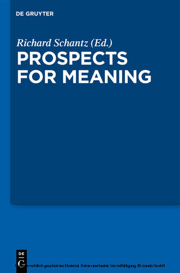 Prospects for Meaning main product photo