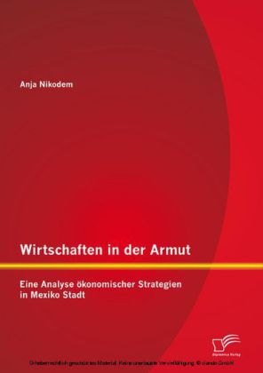 Wirtschaften in der Armut: Eine Analyse ökonomischer Strategien in Mexiko Stadt