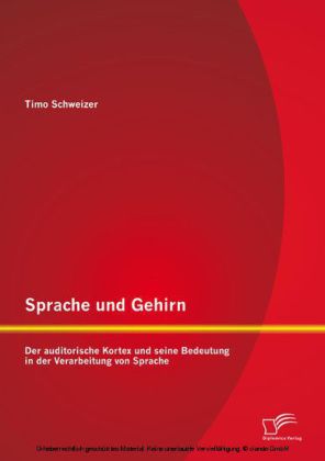 Sprache und Gehirn: Der auditorische Kortex und seine Bedeutung in der Verarbeitung von Sprache