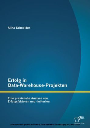 Erfolg in Data-Warehouse-Projekten: Eine praxisnahe Analyse von Erfolgsfaktoren und -kriterien