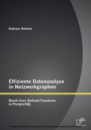 Effiziente Datenanalyse in Netzwerkgraphen: Durch User Defined Functions in PostgreSQL