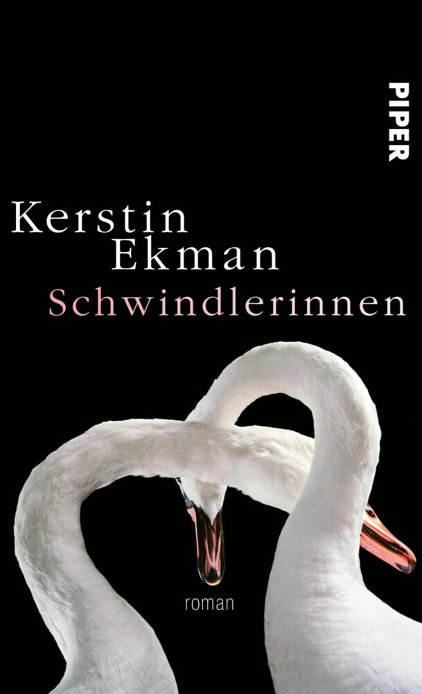 Schwindlerinnen main product photo