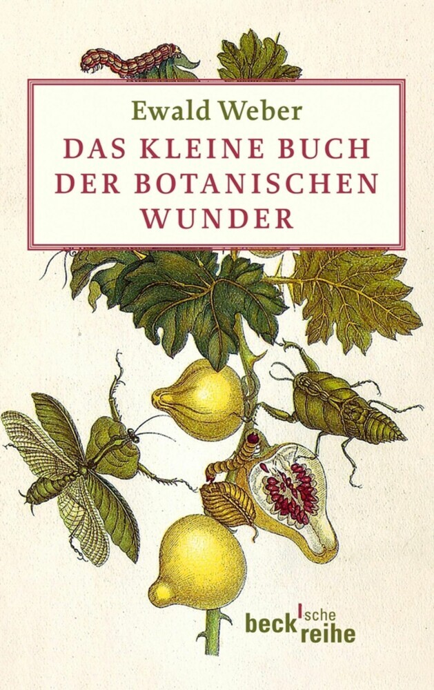 Das kleine Buch der botanischen Wunder main product photo
