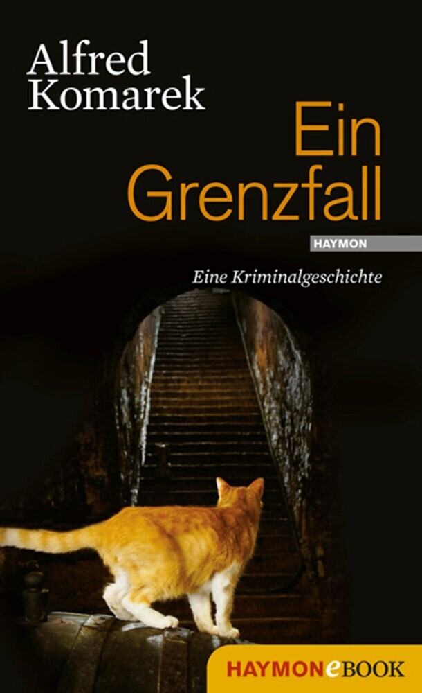Ein Grenzfall main product photo