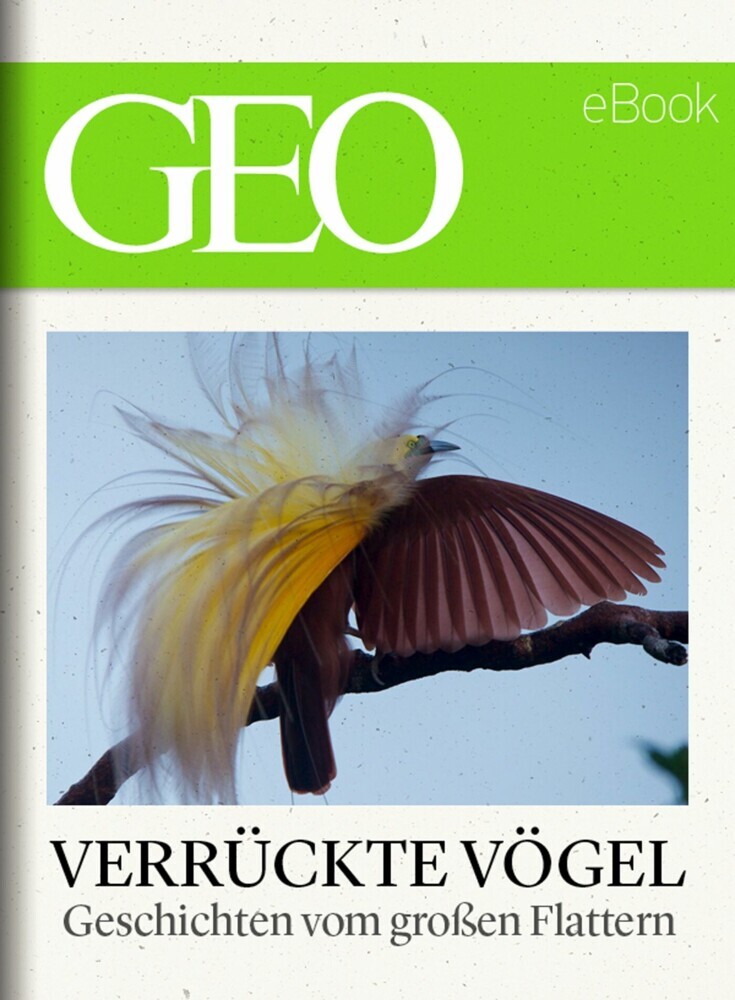Verrückte Vögel: Geschichten vom großen Flattern (GEO eBook) main product photo