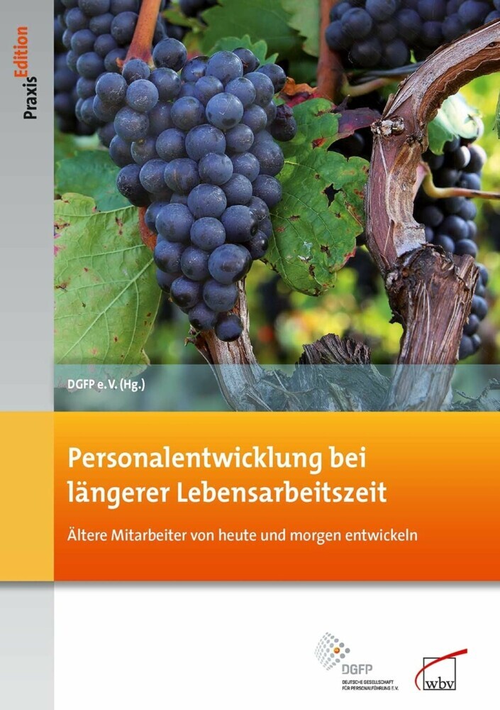 Personalentwicklung bei längerer Lebensarbeitszeit main product photo