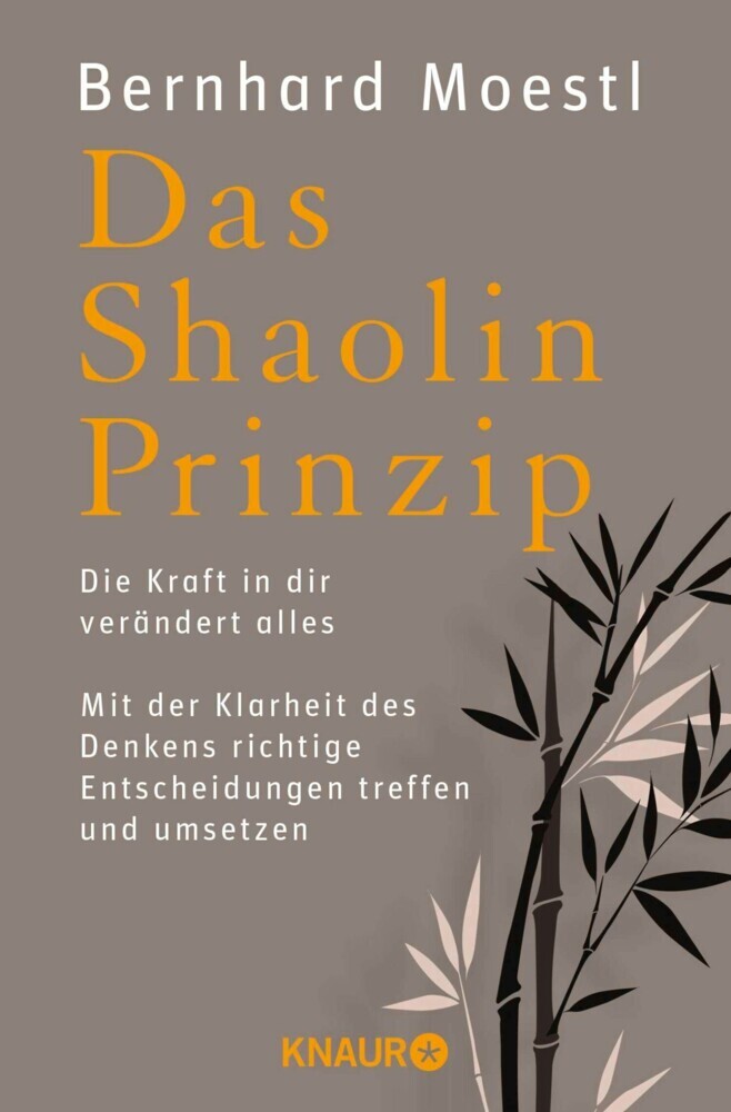 Das Shaolin-Prinzip main product photo