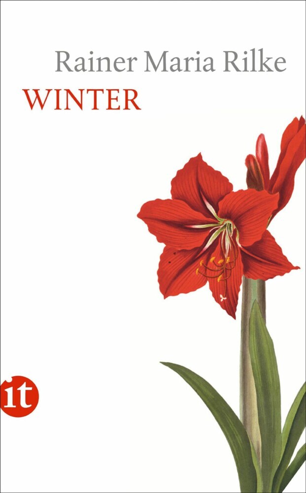 Winter main product photo