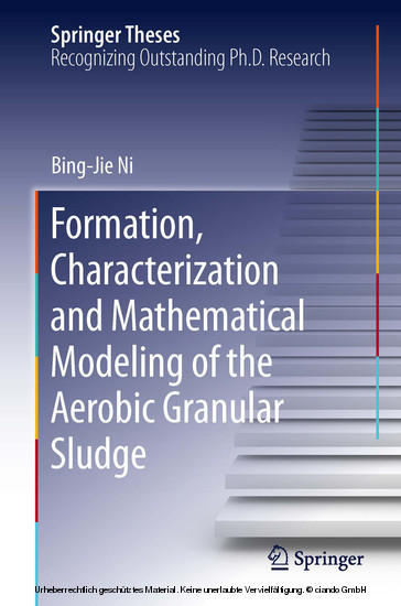 Formation, characterization and mathematical modeling of the aerobic granular sludge main product photo