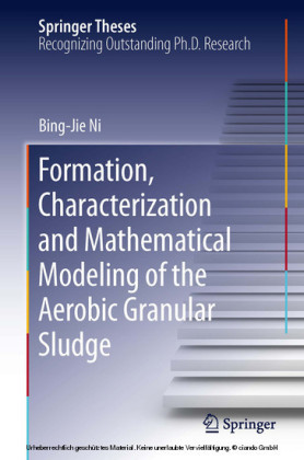 Formation, characterization and mathematical modeling of the aerobic granular sludge