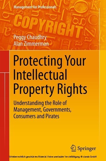 Protecting Your Intellectual Property Rights main product photo