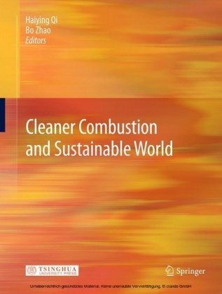 Cleaner Combustion and Sustainable World