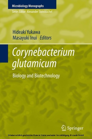 Corynebacterium glutamicum main product photo