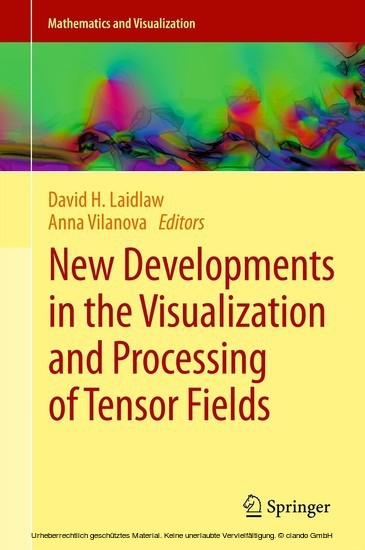 New Developments in the Visualization and Processing of Tensor Fields main product photo