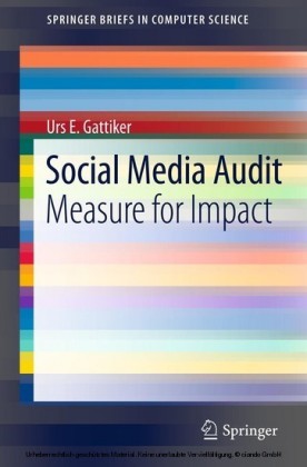 Social Media Audit