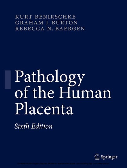 Pathology of the Human Placenta main product photo