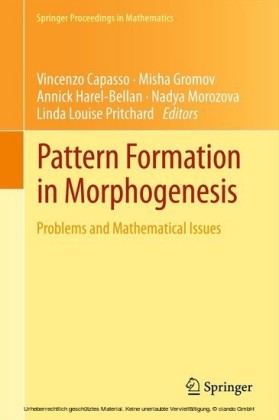 Pattern Formation in Morphogenesis