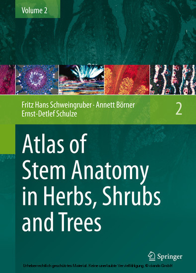 Atlas of Stem Anatomy in Herbs, Shrubs and Trees main product photo