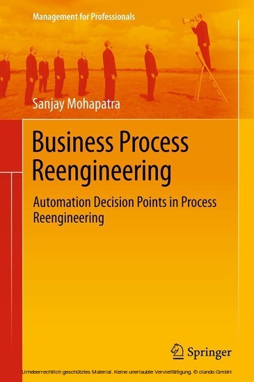 Business Process Reengineering main product photo