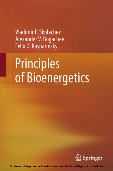 Principles of Bioenergetics main product photo