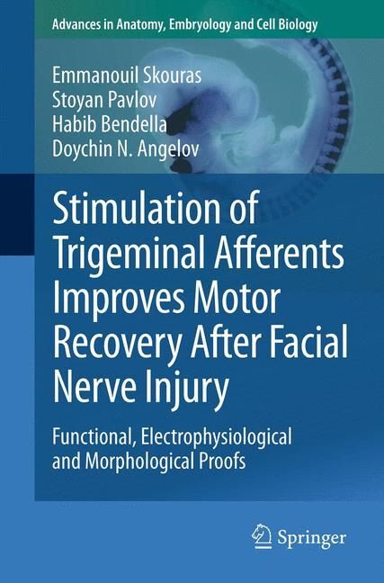 Stimulation of Trigeminal Afferents Improves Motor Recovery After Facial Nerve Injury main product photo