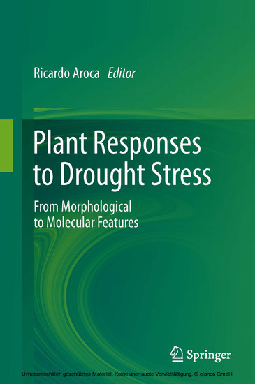 Plant Responses to Drought Stress main product photo