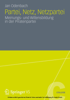 Partei, Netz, Netzpartei
