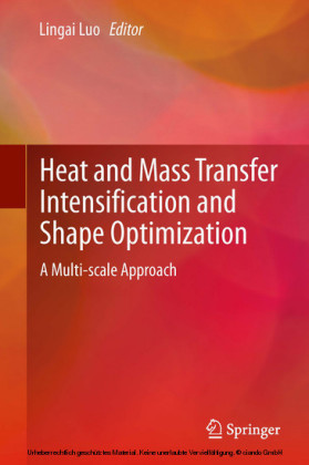 Heat and  Mass Transfer Intensification and Shape Optimization