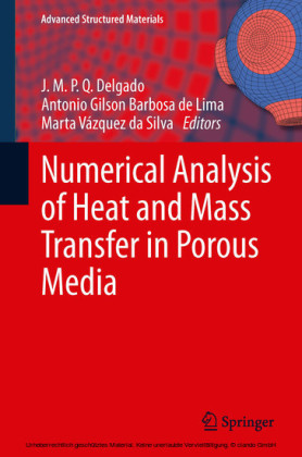Numerical Analysis of Heat and Mass Transfer in Porous Media