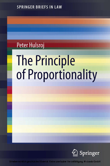 The Principle of Proportionality main product photo
