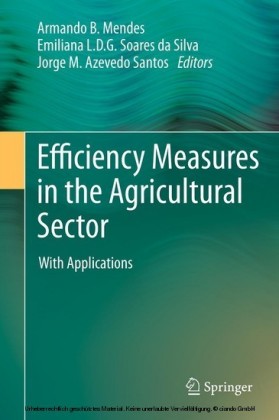 Efficiency Measures in the Agricultural Sector