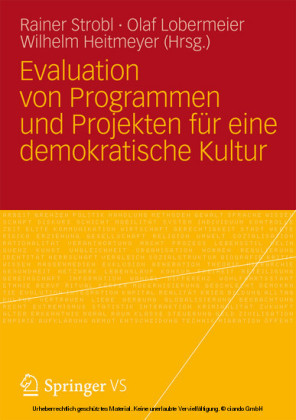 Evaluation von Programmen und Projekten für eine demokratische Kultur