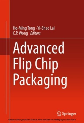 Advanced Flip Chip Packaging