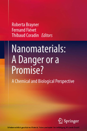 Nanomaterials: A Danger or a Promise?