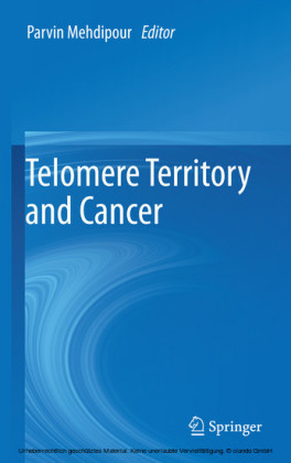Telomere Territory and Cancer