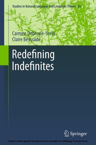 Redefining Indefinites main product photo