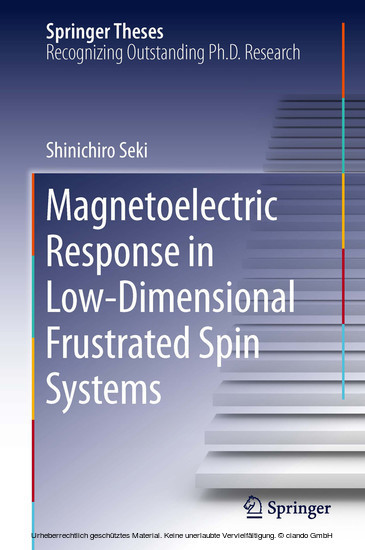 Magnetoelectric Response in Low-Dimensional Frustrated Spin Systems main product photo