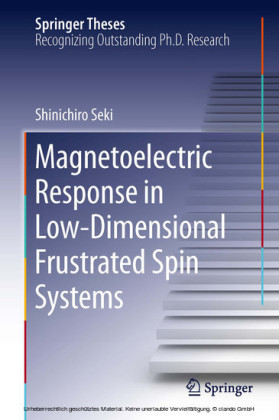 Magnetoelectric Response in Low-Dimensional Frustrated Spin Systems