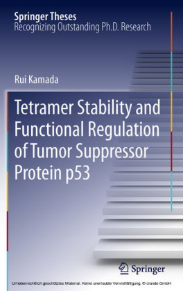 Tetramer Stability and Functional Regulation of Tumor Suppressor Protein p53