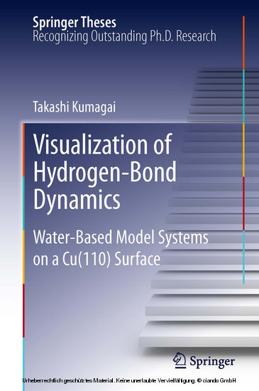 Visualization of Hydrogen-Bond Dynamics main product photo