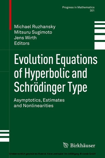 Evolution Equations of Hyperbolic and Schrödinger Type main product photo